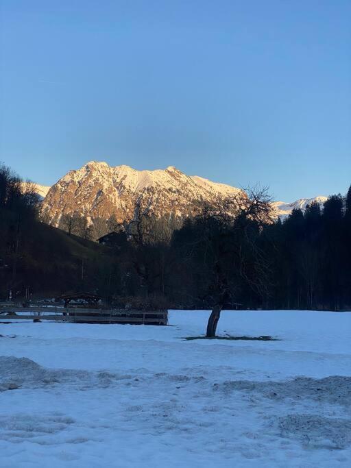 Gruenes Stueble Allgaeuer Alpen Зонтхофен Екстериор снимка